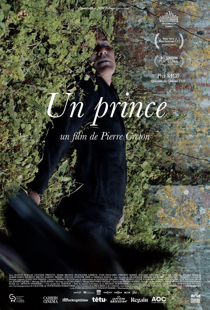 Affiche du film Un Prince